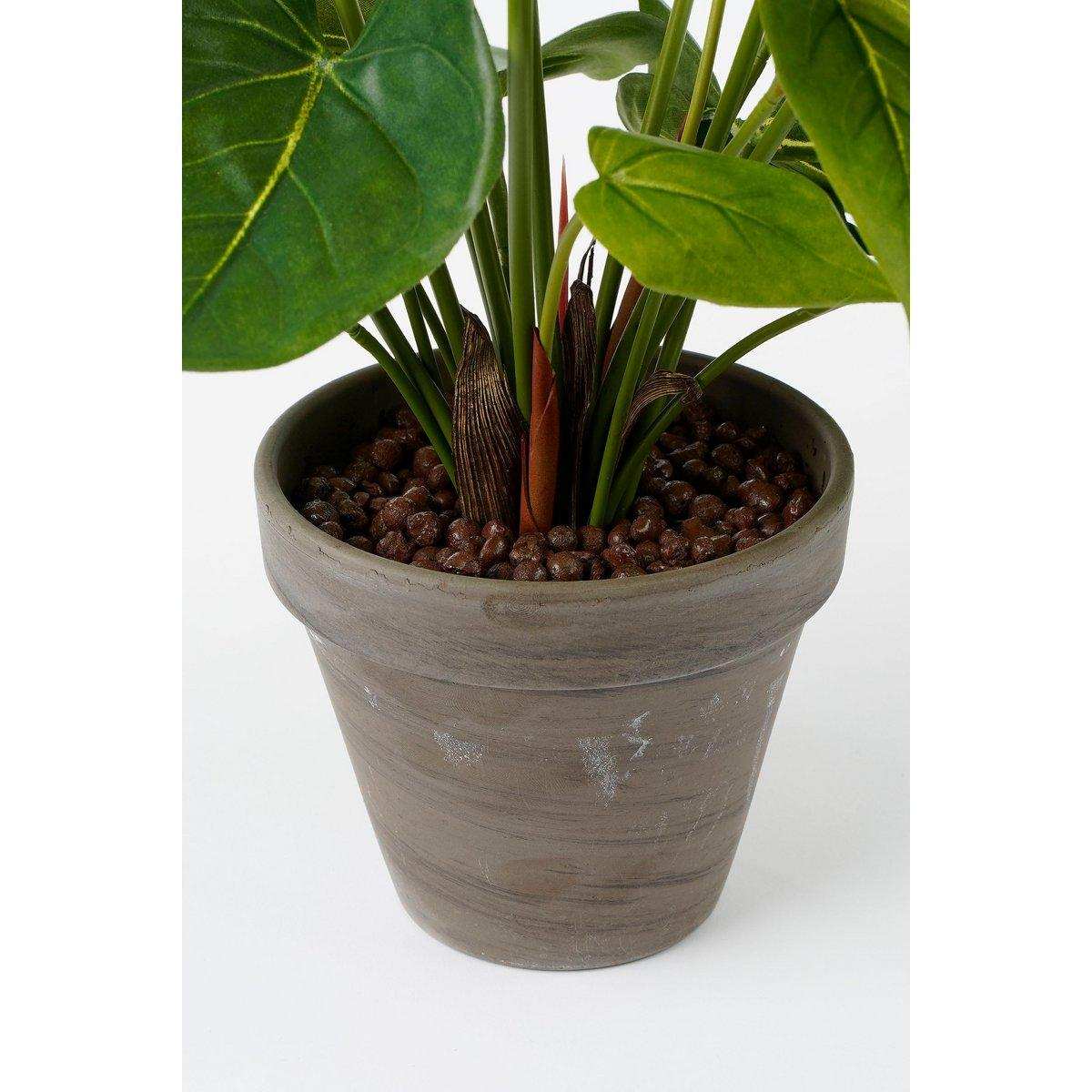 Künstliche Anthuriumpflanze im Blumentopf Stan - H38 x Ø30 cm - Rot - HomeDesign Knaus
