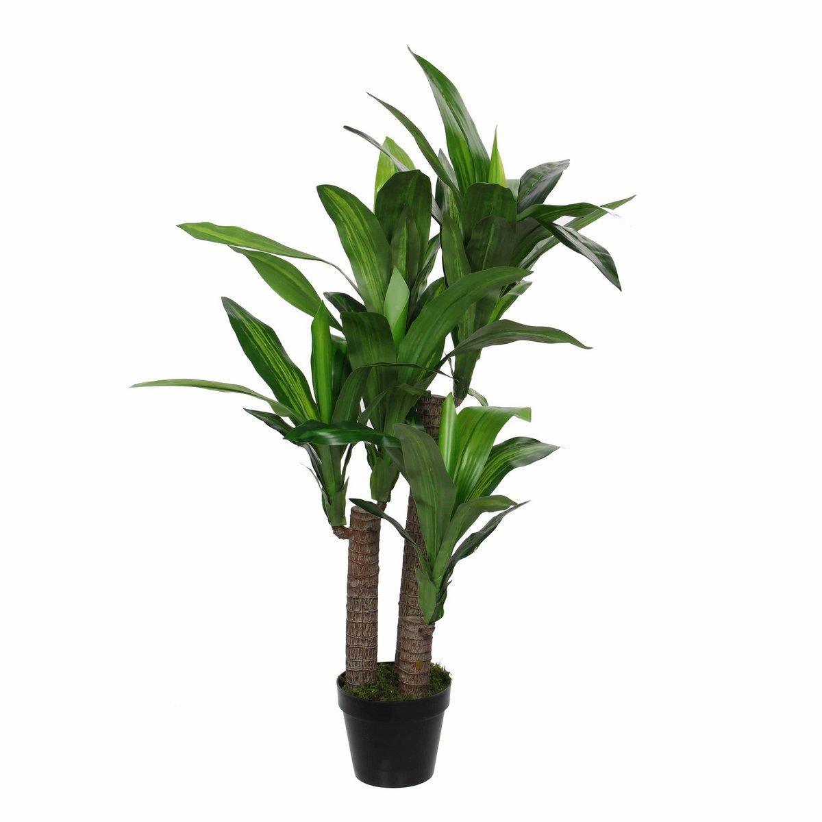 Künstliche Dracaena-Pflanze – H110 x Ø60 cm - HomeDesign Knaus
