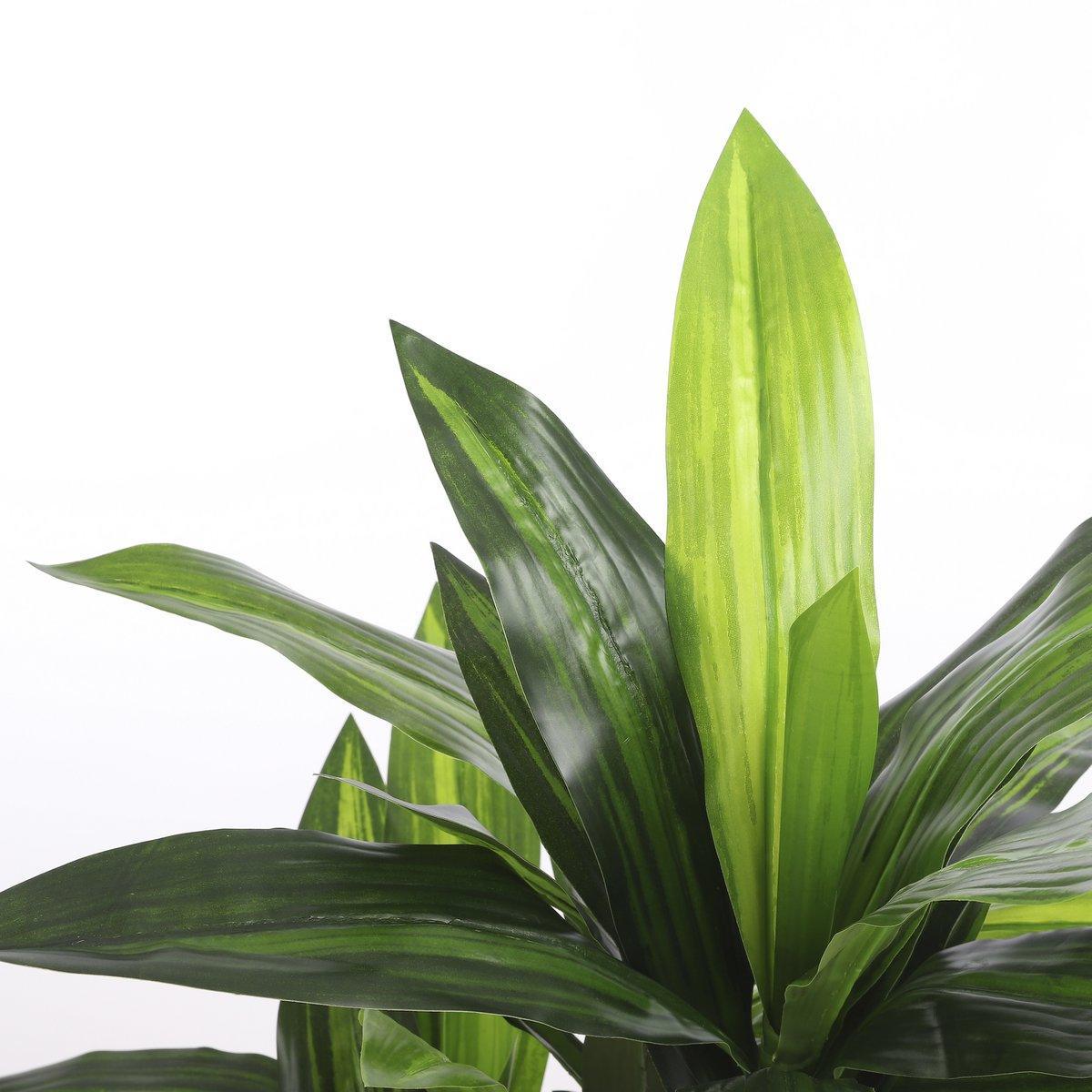 Künstliche Dracaena-Pflanze – H110 x Ø60 cm - HomeDesign Knaus