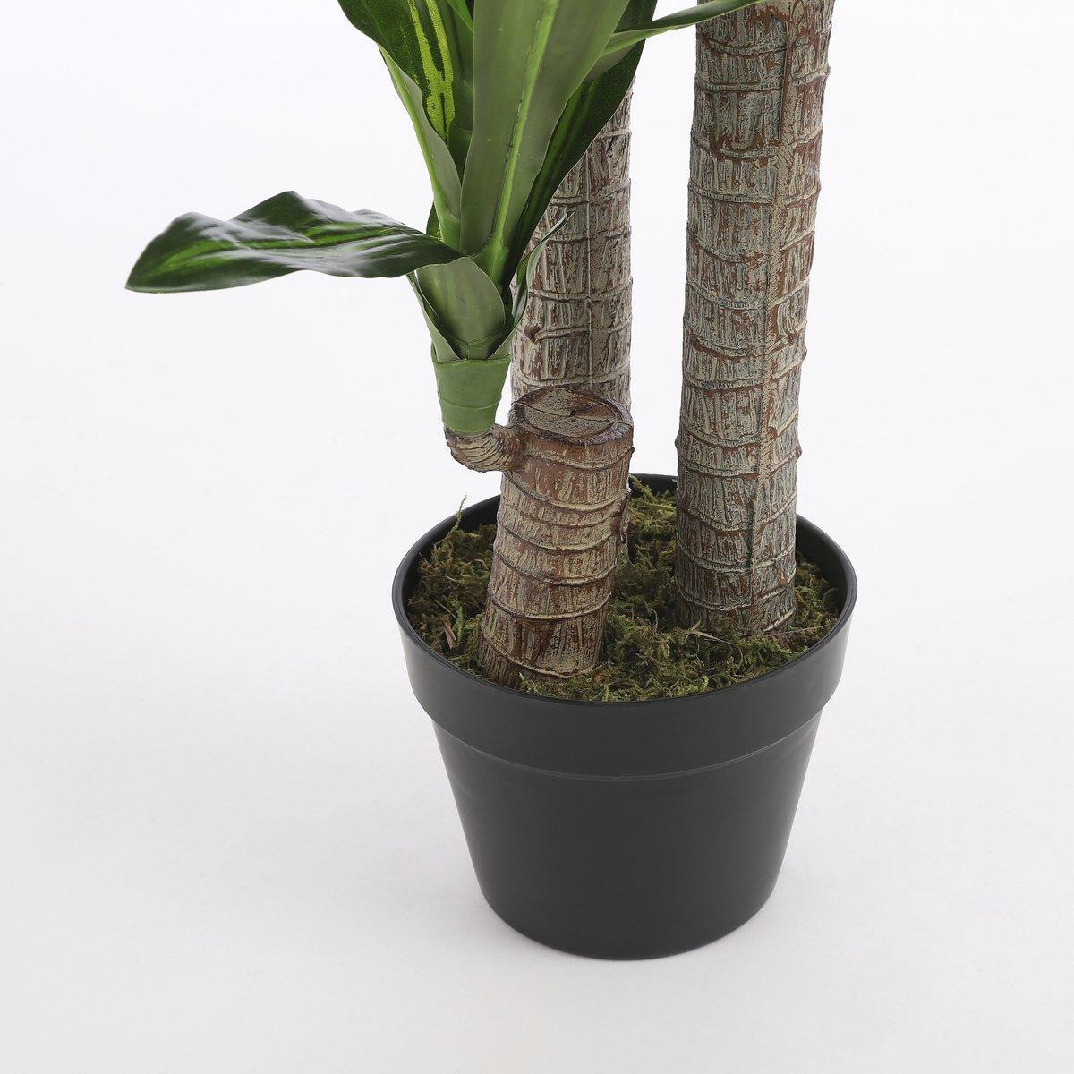 Künstliche Dracaena-Pflanze – H110 x Ø60 cm - HomeDesign Knaus