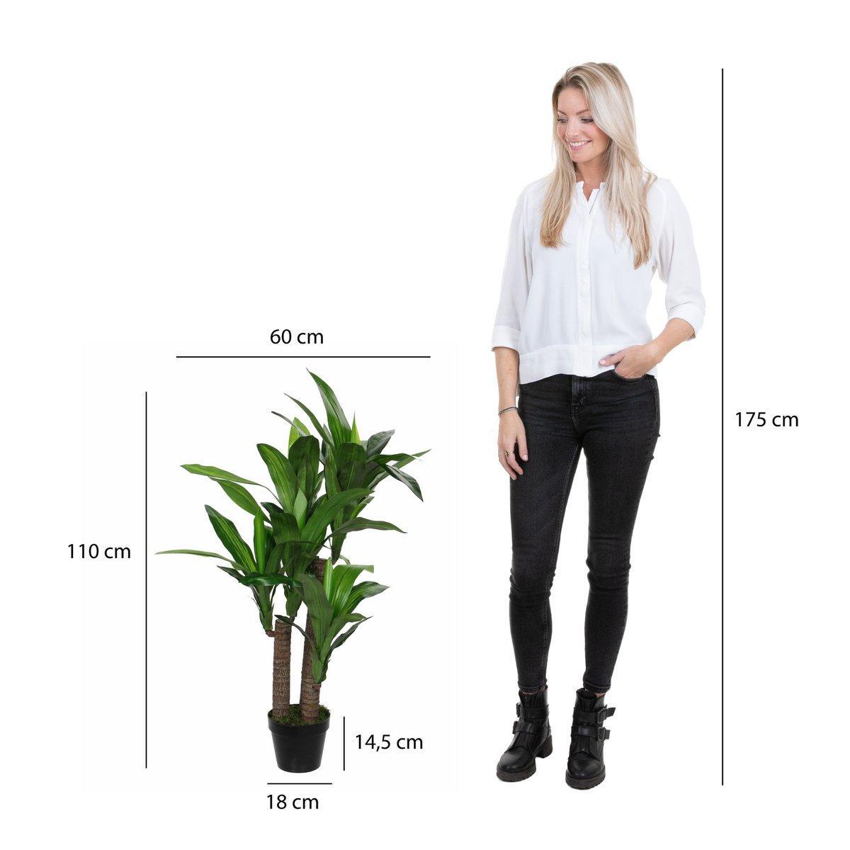 Künstliche Dracaena-Pflanze – H110 x Ø60 cm - HomeDesign Knaus