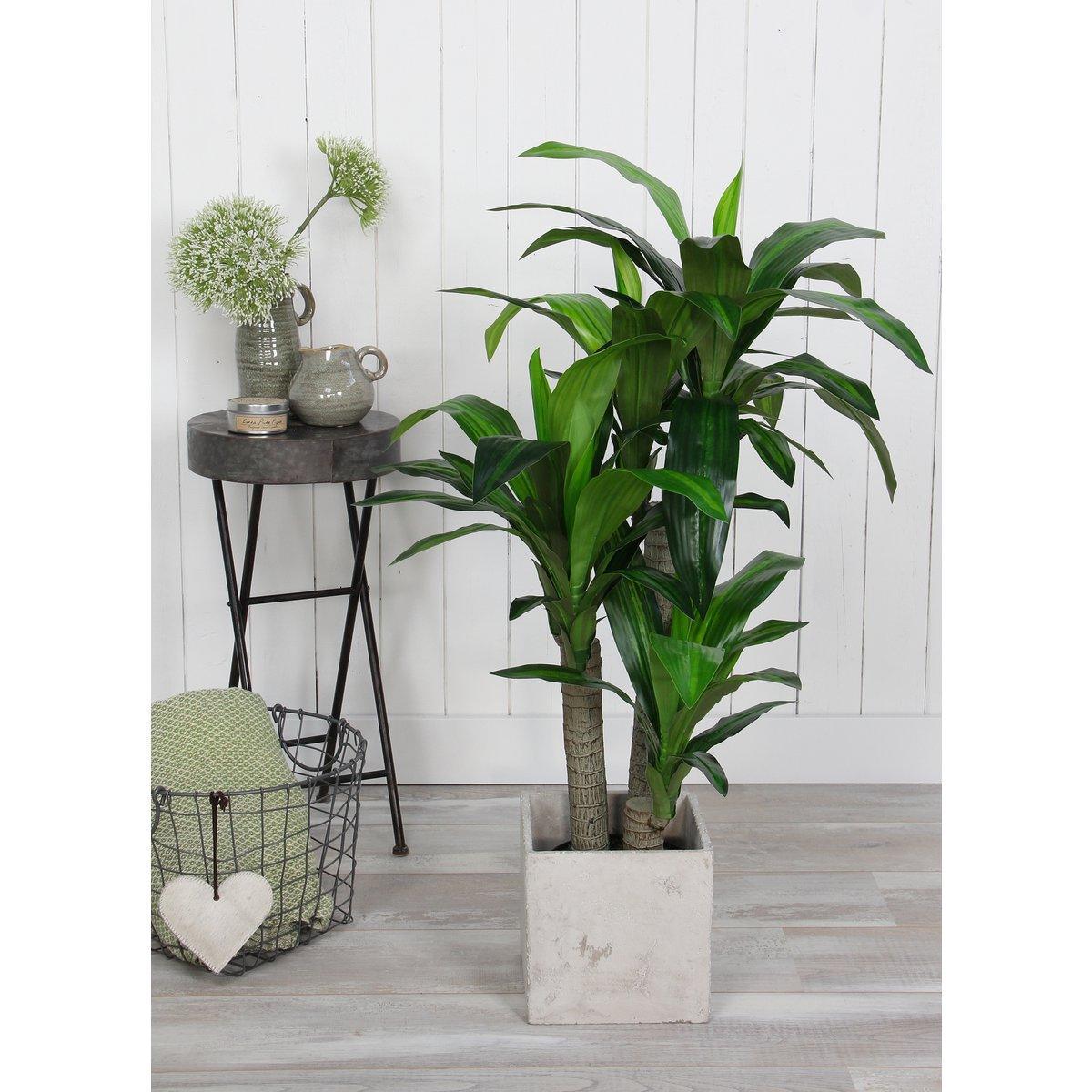 Künstliche Dracaena-Pflanze – H110 x Ø60 cm - HomeDesign Knaus