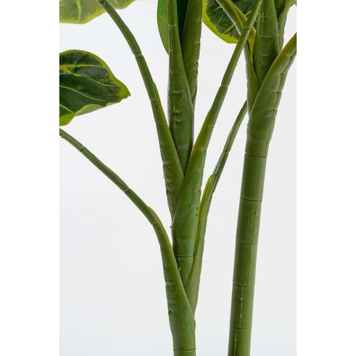 Künstliche Pflanze Alocasia im Blumentopf – H100 x Ø50 cm – Grün - HomeDesign Knaus