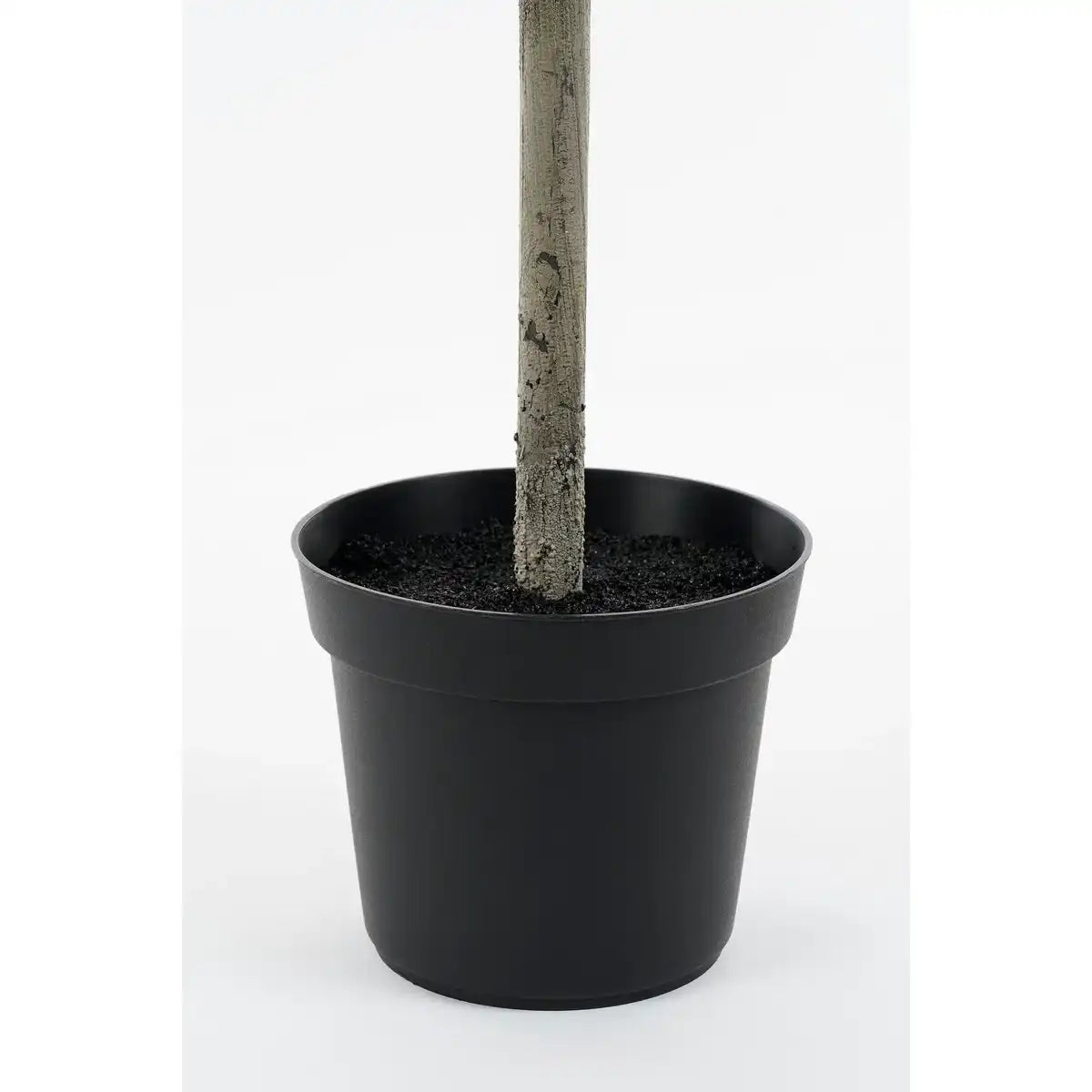 Künstliche Pflanze Laurelbaum - H120 x Ø40 cm - Grün - HomeDesign Knaus
