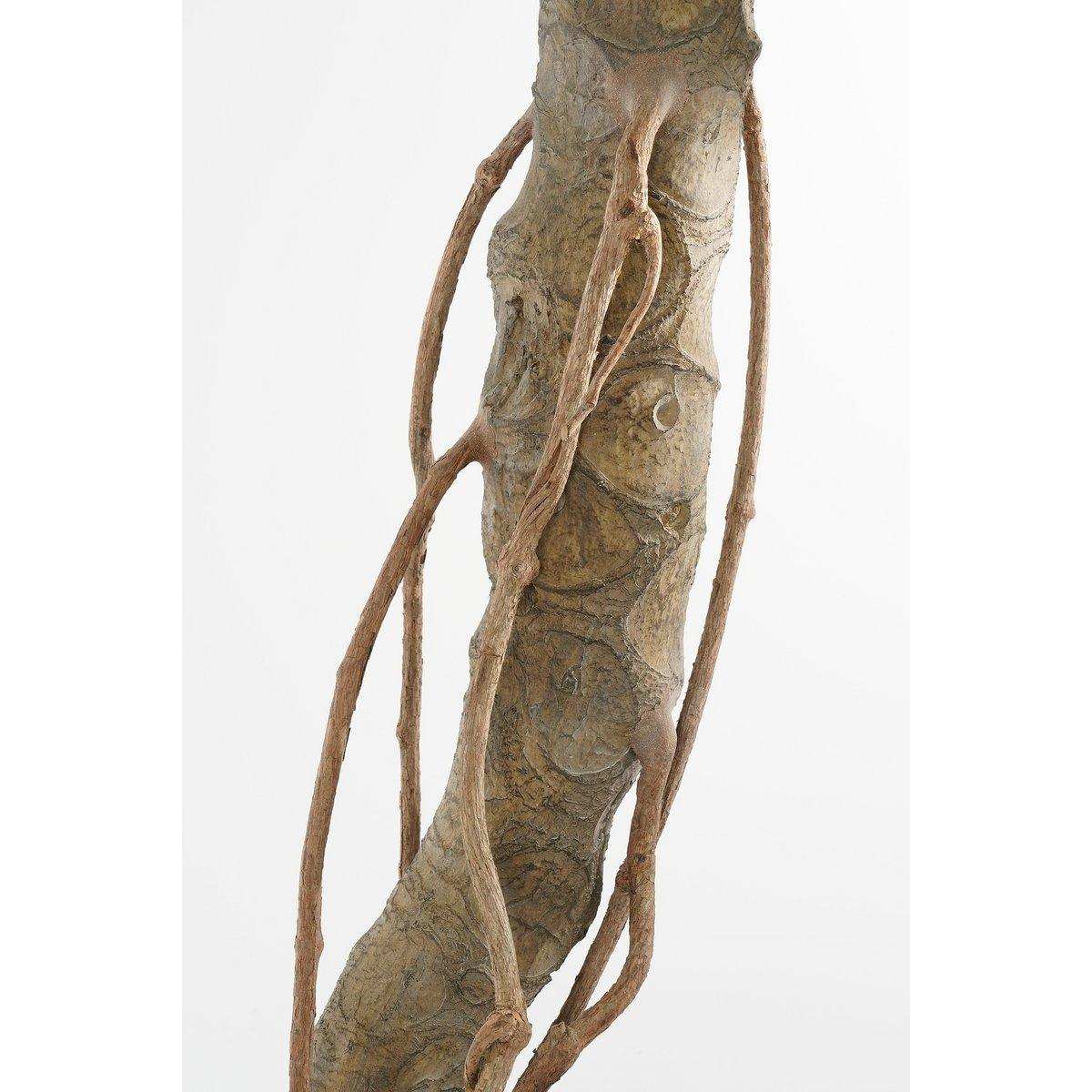 Künstliche Pflanze Monstera – H135 x Ø100 cm – Grün - HomeDesign Knaus