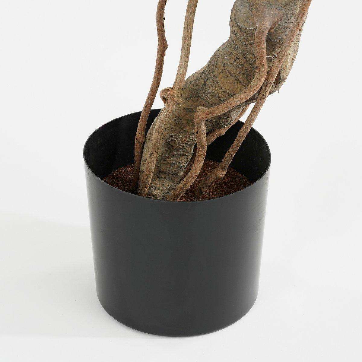 Künstliche Pflanze Monstera – H135 x Ø100 cm – Grün - HomeDesign Knaus