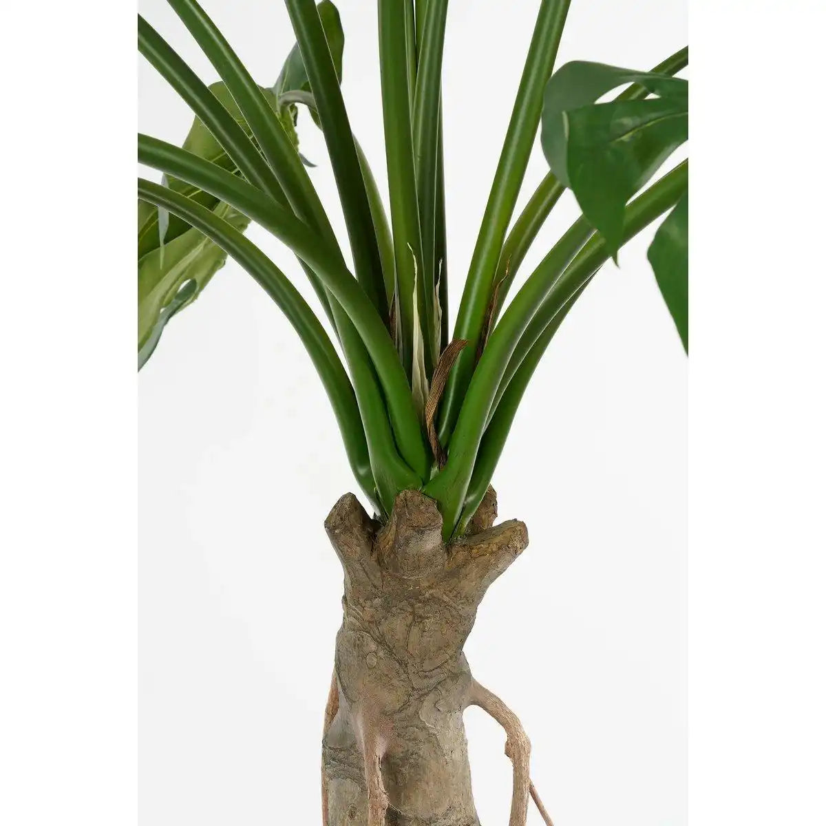 Künstliche Pflanze Monstera – H135 x Ø100 cm – Grün - HomeDesign Knaus