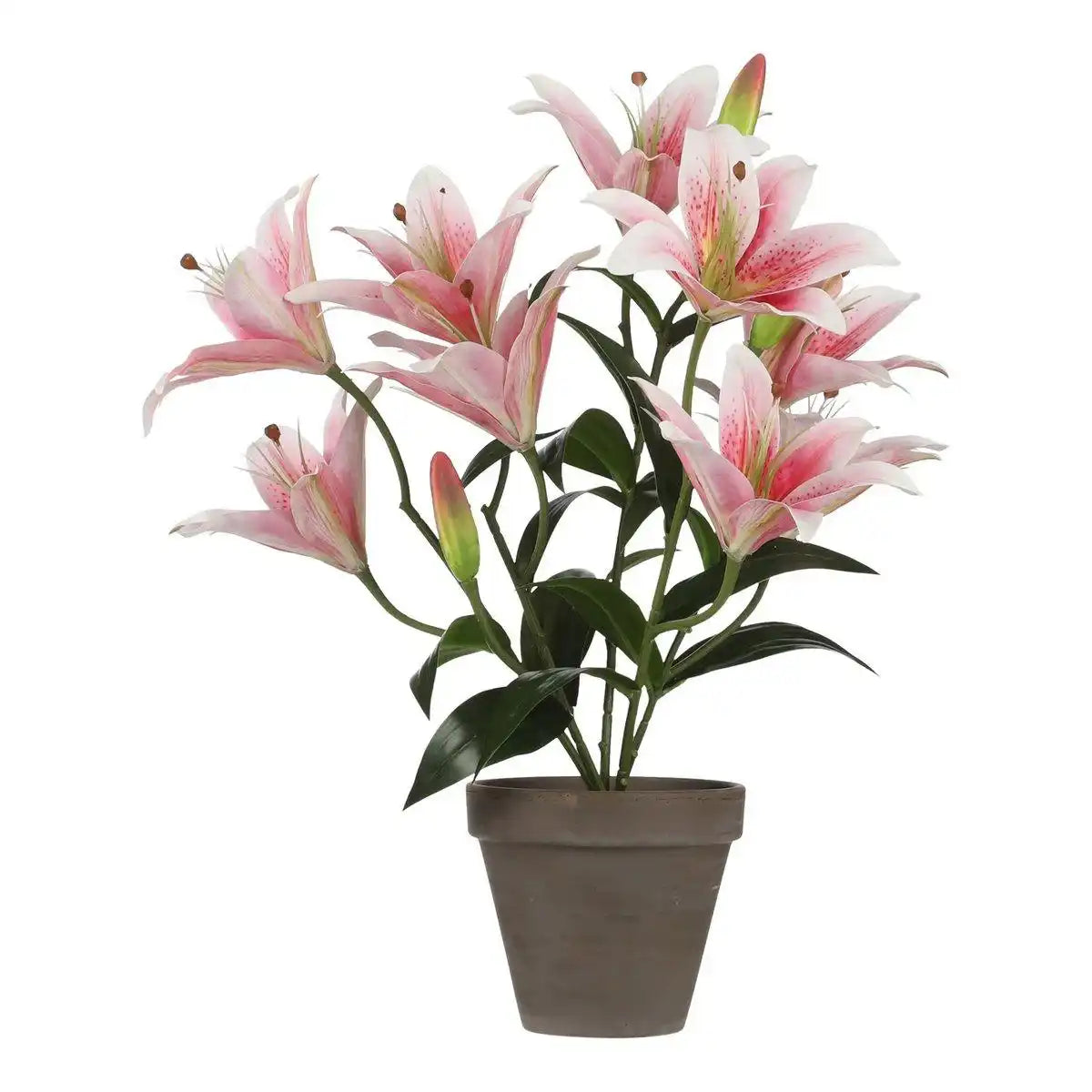 Künstliche Tigerlilie im Blumentopf Stan – H47 x Ø45 cm – Rosa - HomeDesign Knaus