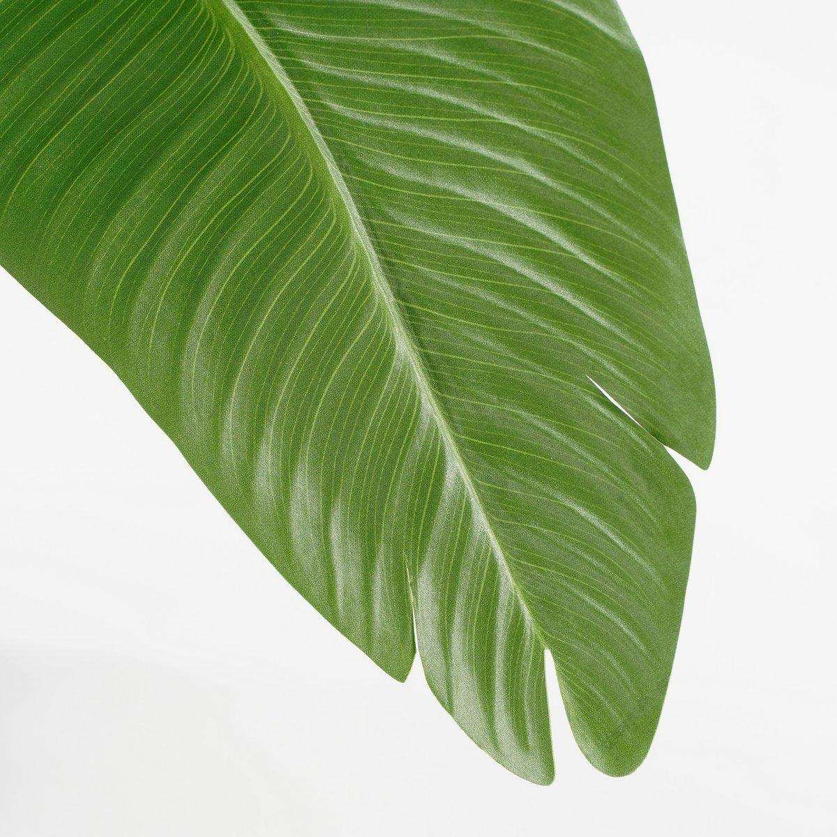 Künstlicher Bananenbaum im Topf – H180 x Ø30 cm – Grün - HomeDesign Knaus