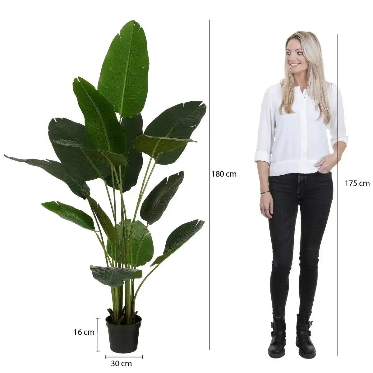 Künstlicher Bananenbaum im Topf – H180 x Ø30 cm – Grün - HomeDesign Knaus