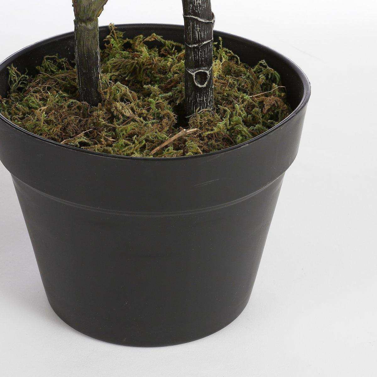 Kunstpflanze Ficus Lyrata - H100 x Ø60 cm - Grün - HomeDesign Knaus