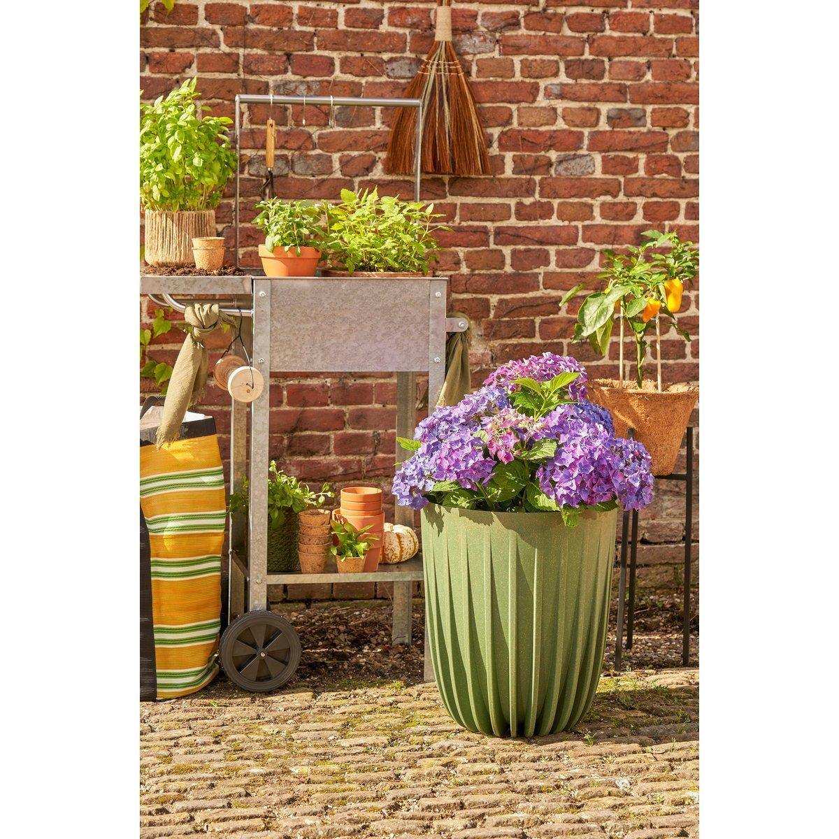 Lungo Blumentopf – H46 x Ø39 cm – Polypropylen – FSC Mix – Grün - HomeDesign Knaus