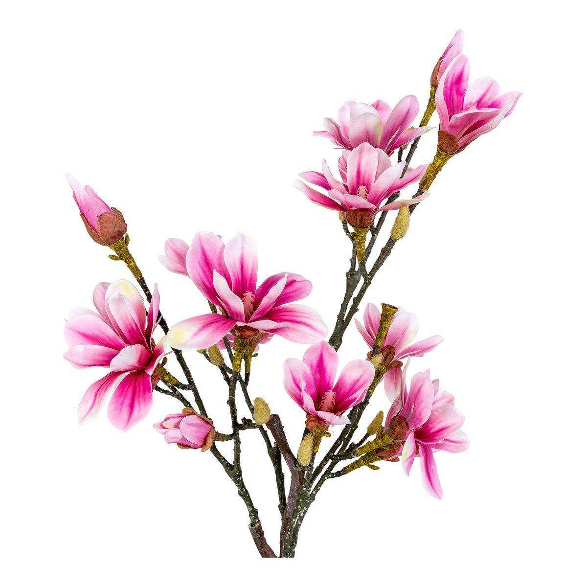 Magnolienbaum - Grün, Rosa - HomeDesign Knaus