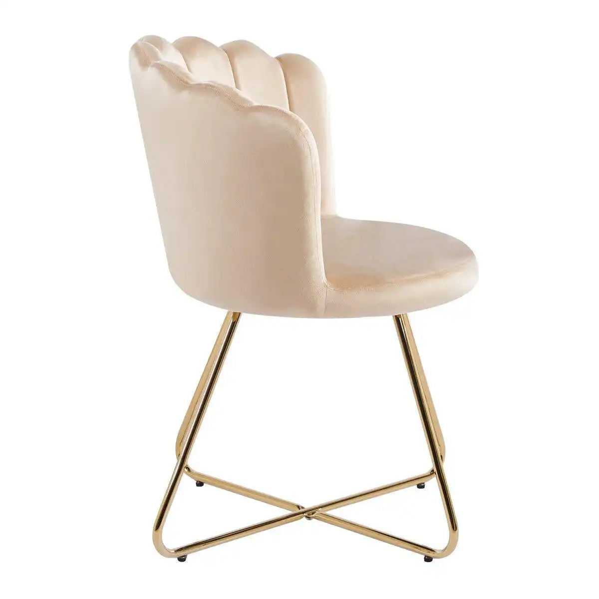 Muschelstuhl aus Samt 2er Set Beige - HomeDesign Knaus