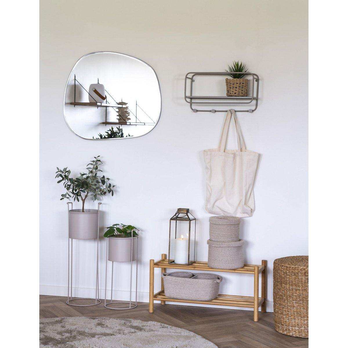 Olivenbaum - HomeDesign Knaus