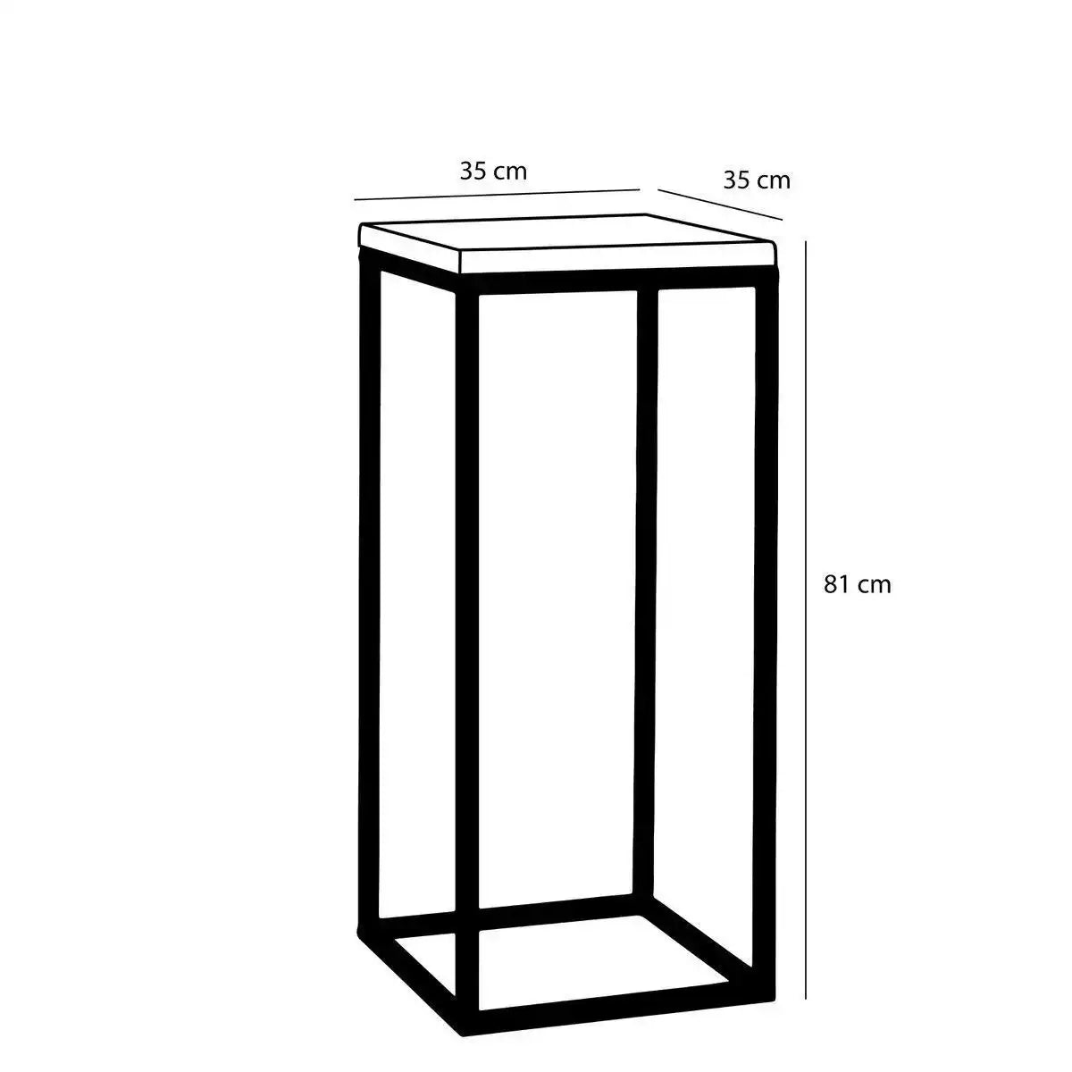 Oskar Pflanzentisch – L35 x B35 x H81 cm – Holz, Metall – Schwarz - HomeDesign Knaus