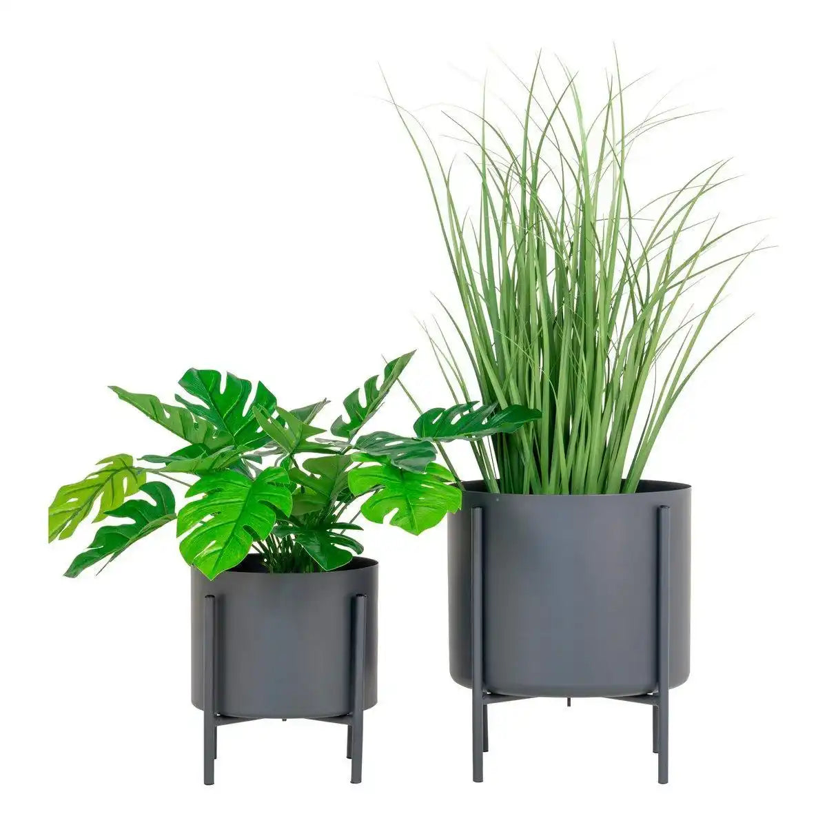 Pavia Blumentöpfe - HomeDesign Knaus
