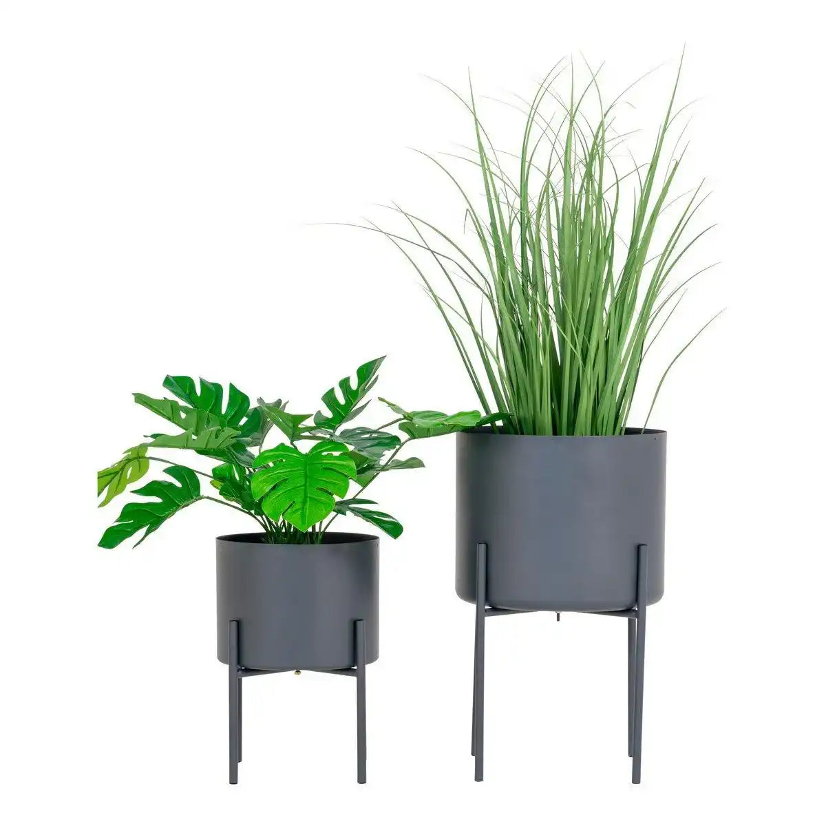 Pavia Blumentöpfe - HomeDesign Knaus