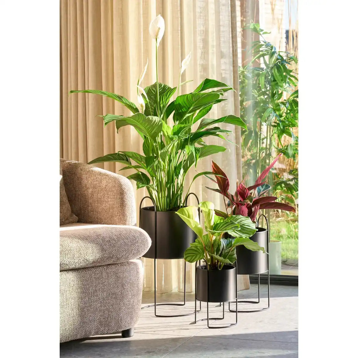 Petry Blumenpot auf Standard - Set von 3 - L27 x B25 x H51 cm - Metall - Schwarz - HomeDesign Knaus