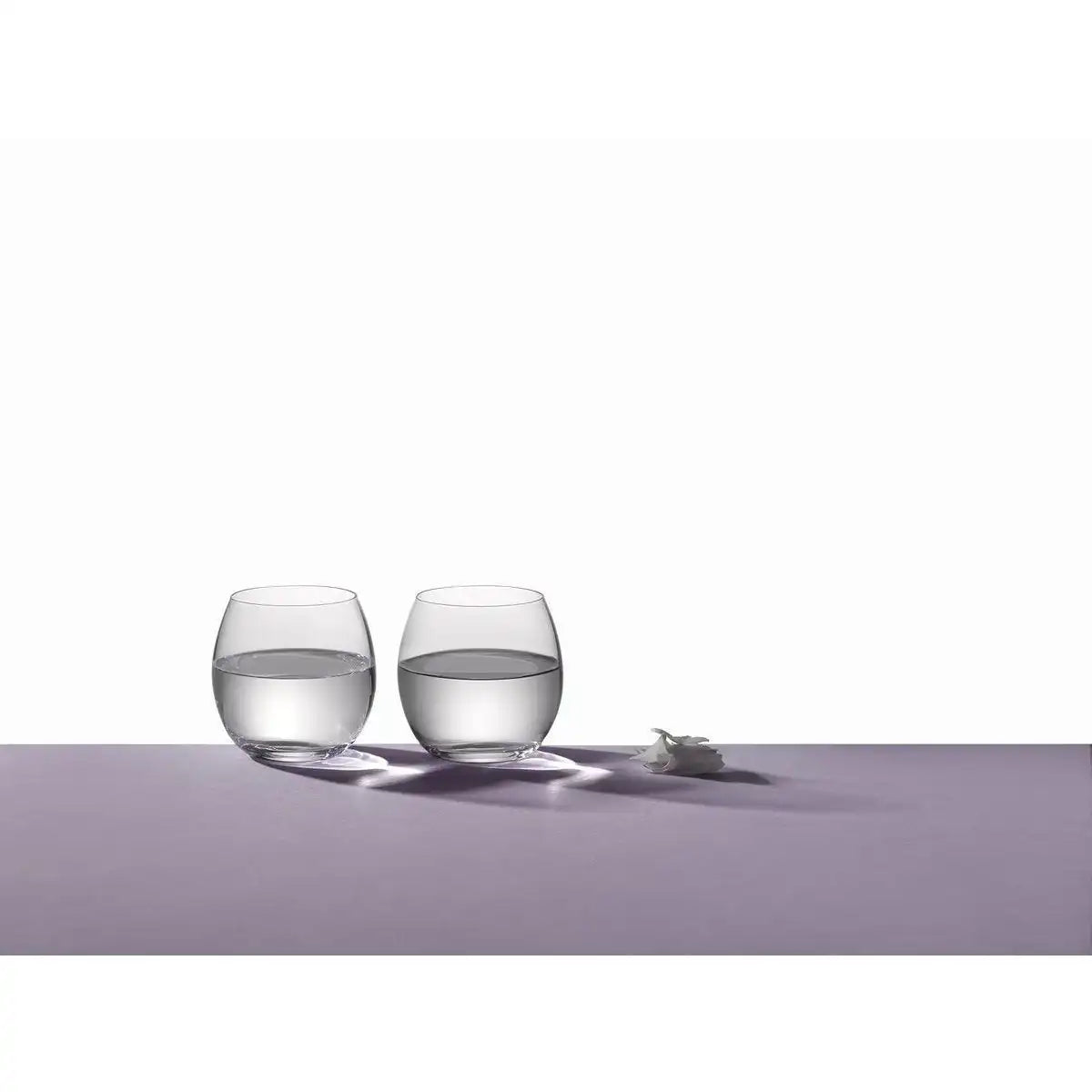 Pfingstrosen-Gläser mit niedrigem Wasserstand, 380 ml – 6er-Set - HomeDesign Knaus
