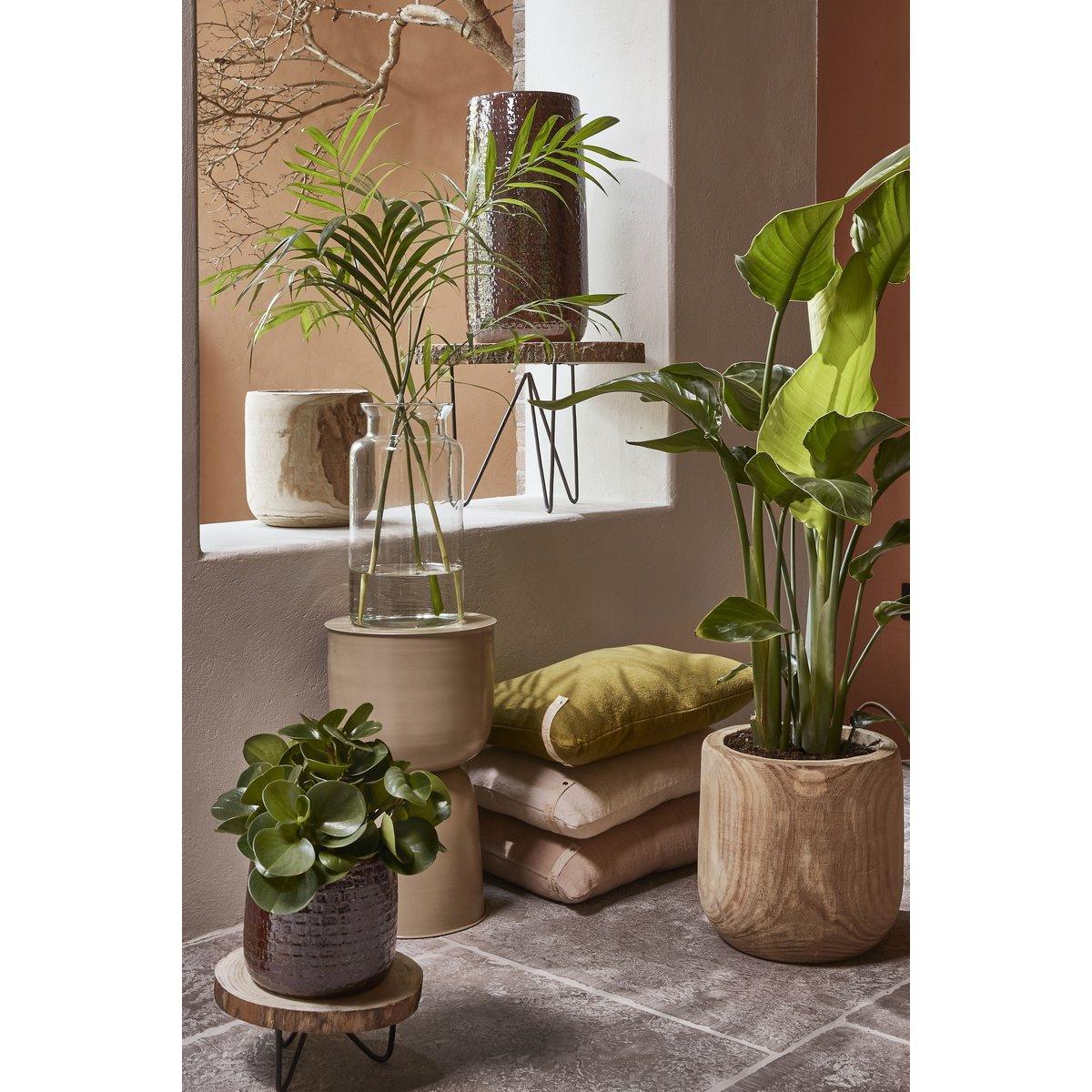 Pia Tree Trunk Beistelltisch – H34 x Ø50 cm – Hellbraun - HomeDesign Knaus