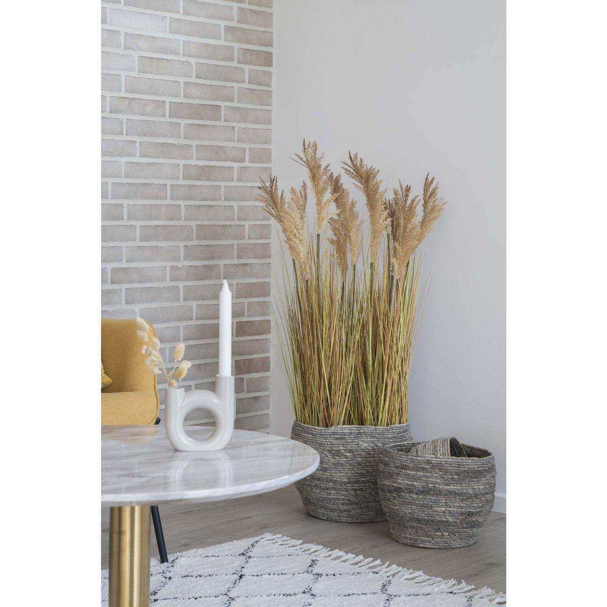 Sorghum-Gras - HomeDesign Knaus
