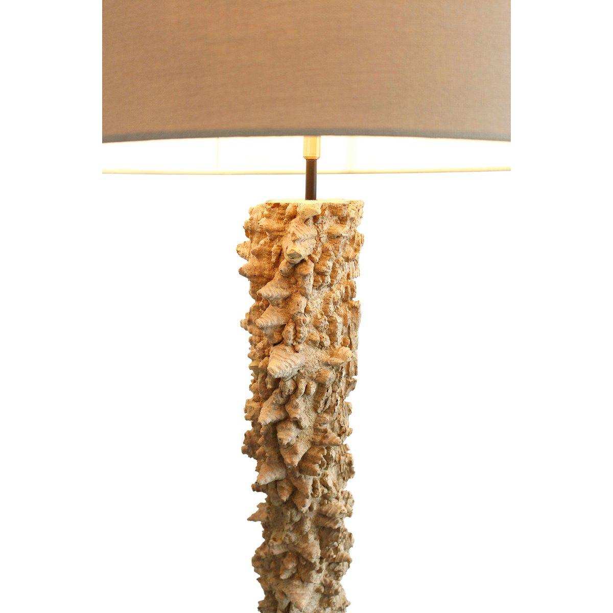 Stehleuchte Treibholz Natur/Weiß 150 cm - HomeDesign Knaus