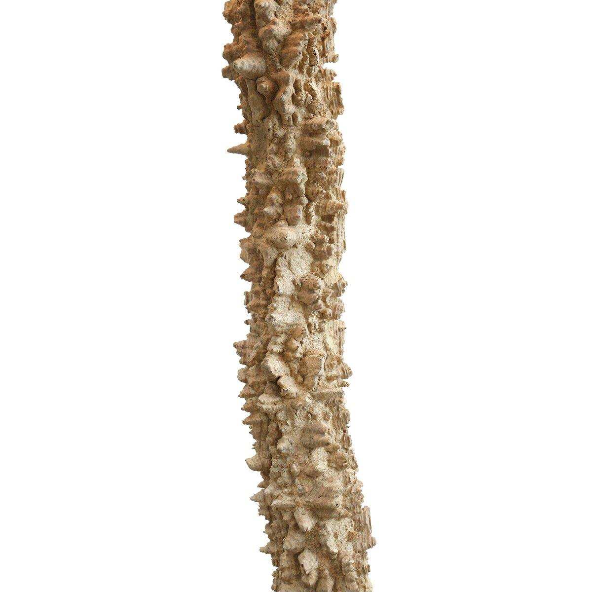 Stehleuchte Treibholz Natur/Weiß 150 cm - HomeDesign Knaus