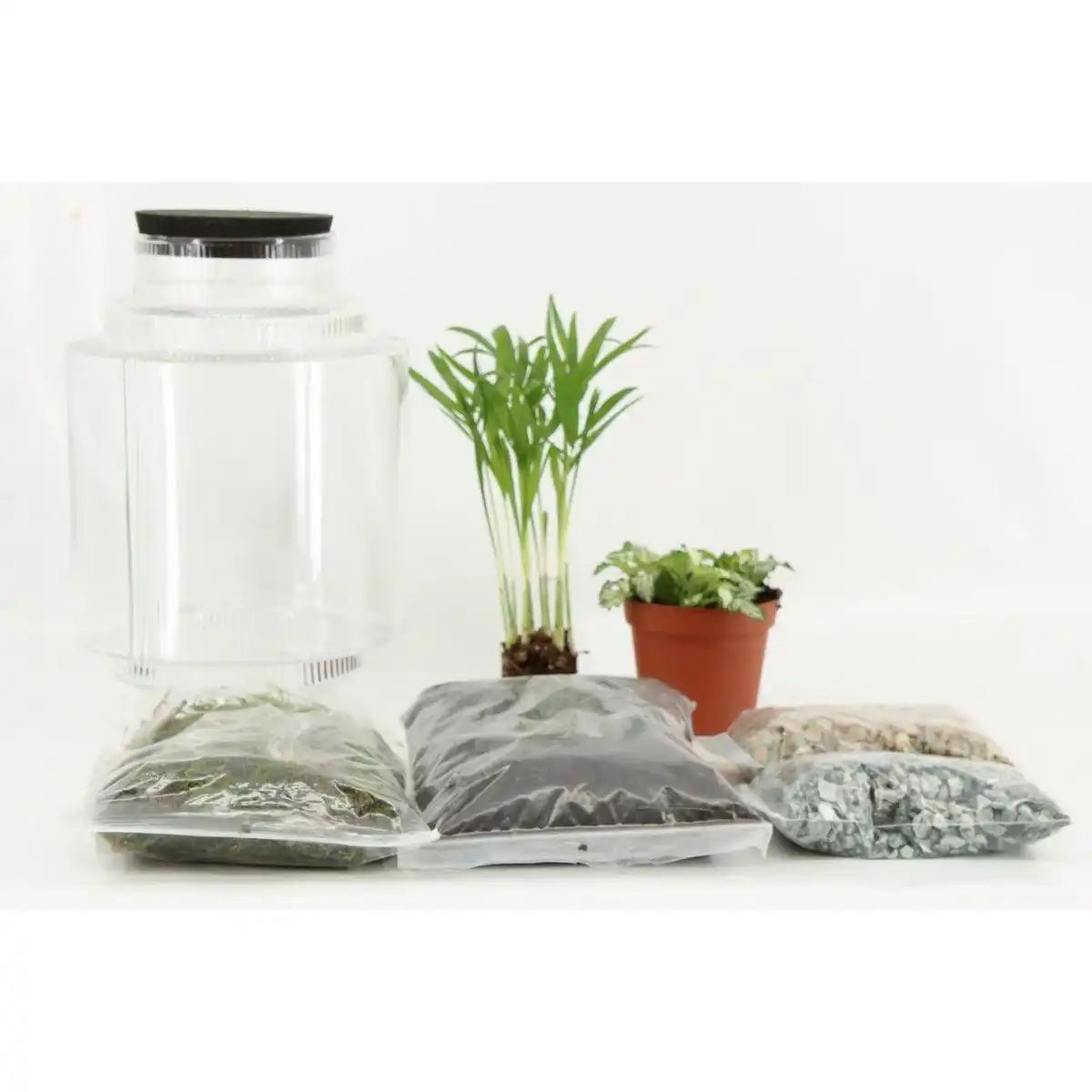 Terrarienanordnung (DIY) – Ø17cm – ↕25cm - HomeDesign Knaus