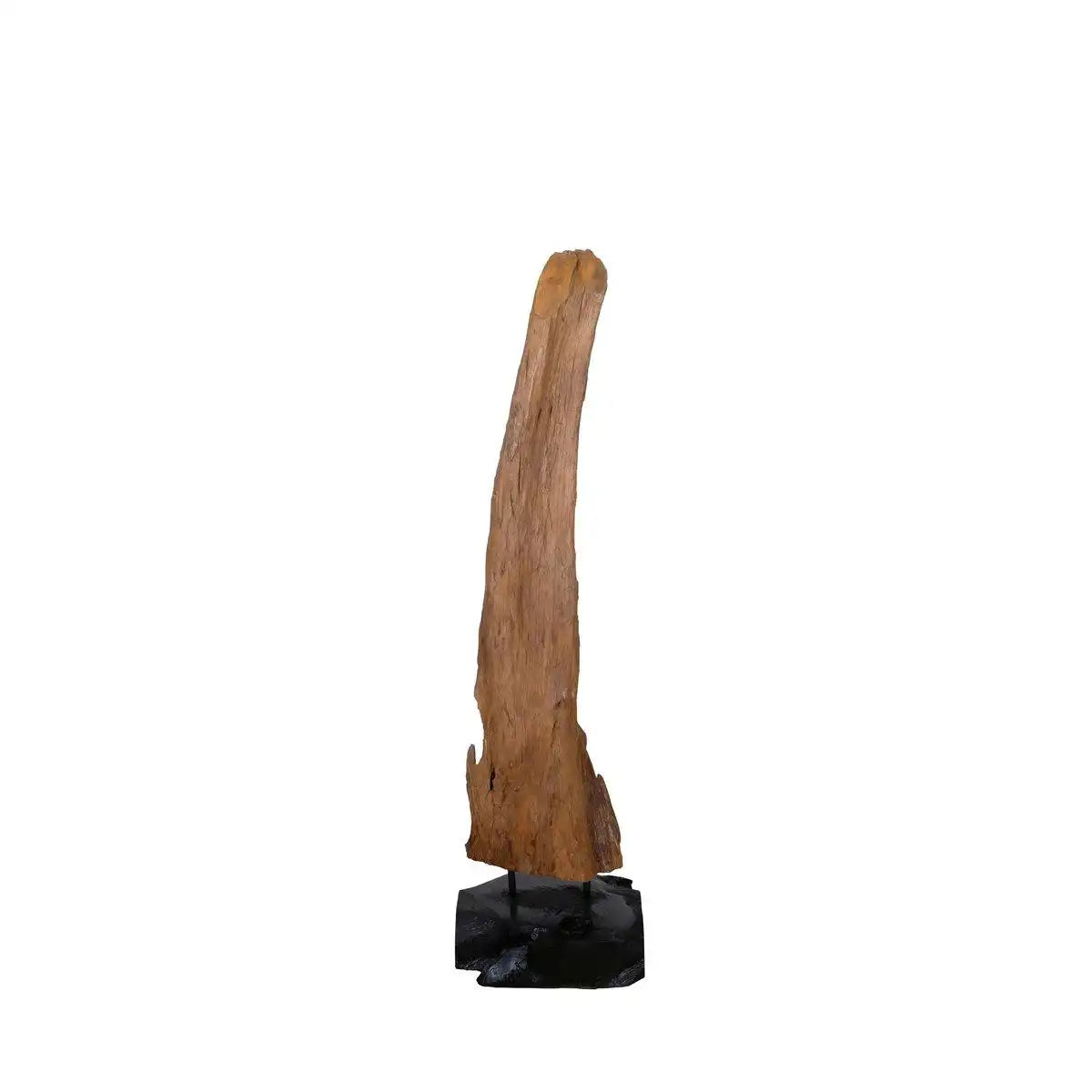 Treibholzskulptur - HomeDesign Knaus