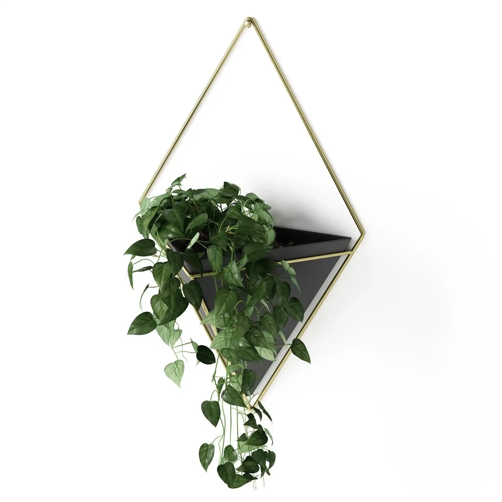 Wand Pflanzentopf Schwarz Weiß Gold Chic - HomeDesign Knaus