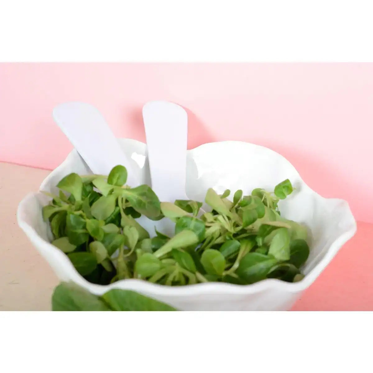 Weiße Schüssel in Melamin 26x26x8cm - HomeDesign Knaus