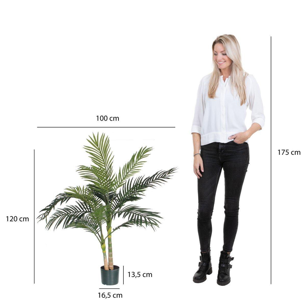 Areca-Palme Künstliche Pflanze - H120 x Ø100 cm - Grün - HomeDesign Knaus