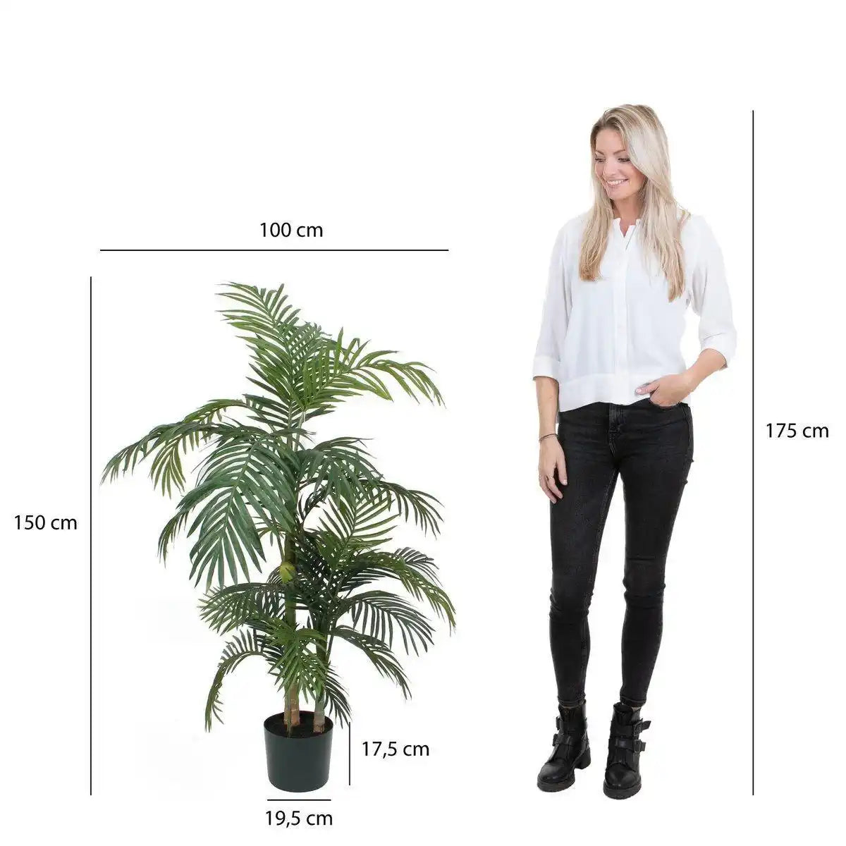 Areca-Palme Kunstpflanze - H150 x Ø100 cm - grün - HomeDesign Knaus