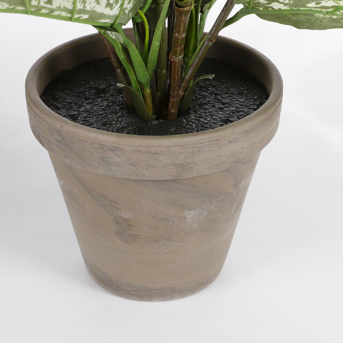 Dieffenbachia Künstliche Pflanze im Blumentopf Stan – H70 x Ø55 cm – Grün - HomeDesign Knaus