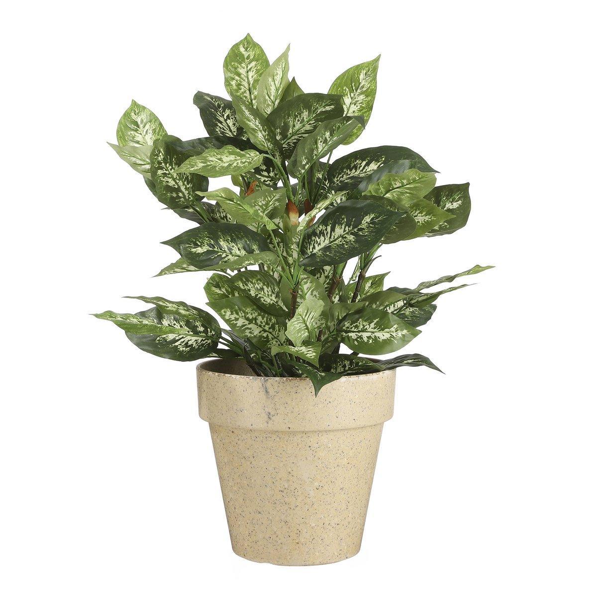 Dieffenbachia Künstliche Pflanze im Blumentopf Stan – H70 x Ø55 cm – Grün - HomeDesign Knaus