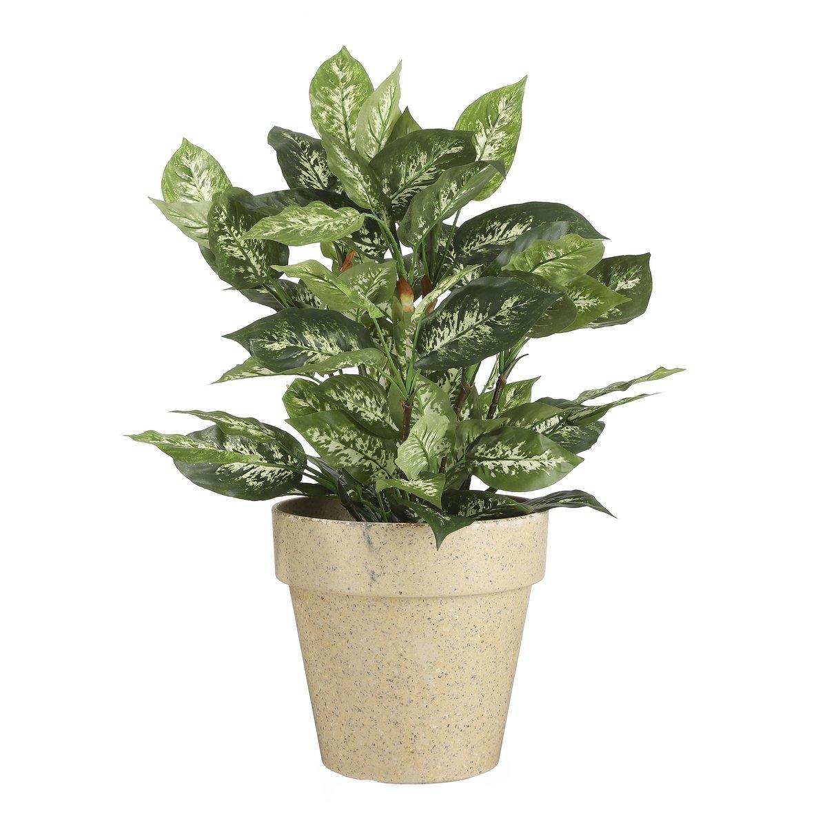 Dieffenbachia Künstliche Pflanze im Blumentopf Stan – H70 x Ø55 cm – Grün - HomeDesign Knaus