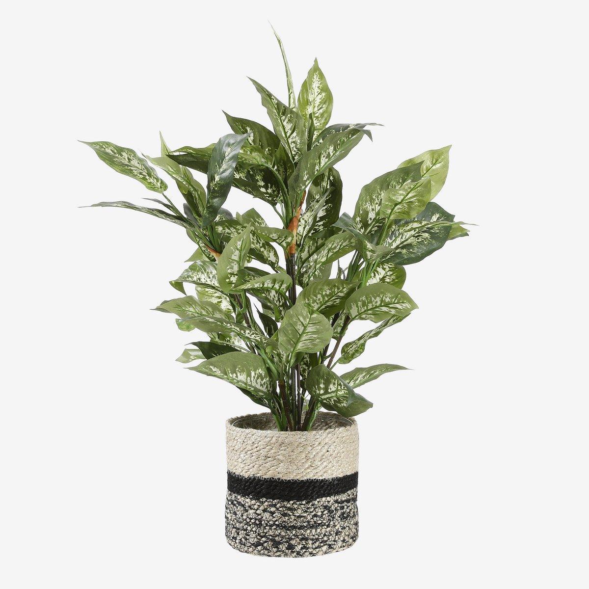 Dieffenbachia Künstliche Pflanze im Blumentopf Stan – H70 x Ø55 cm – Grün - HomeDesign Knaus