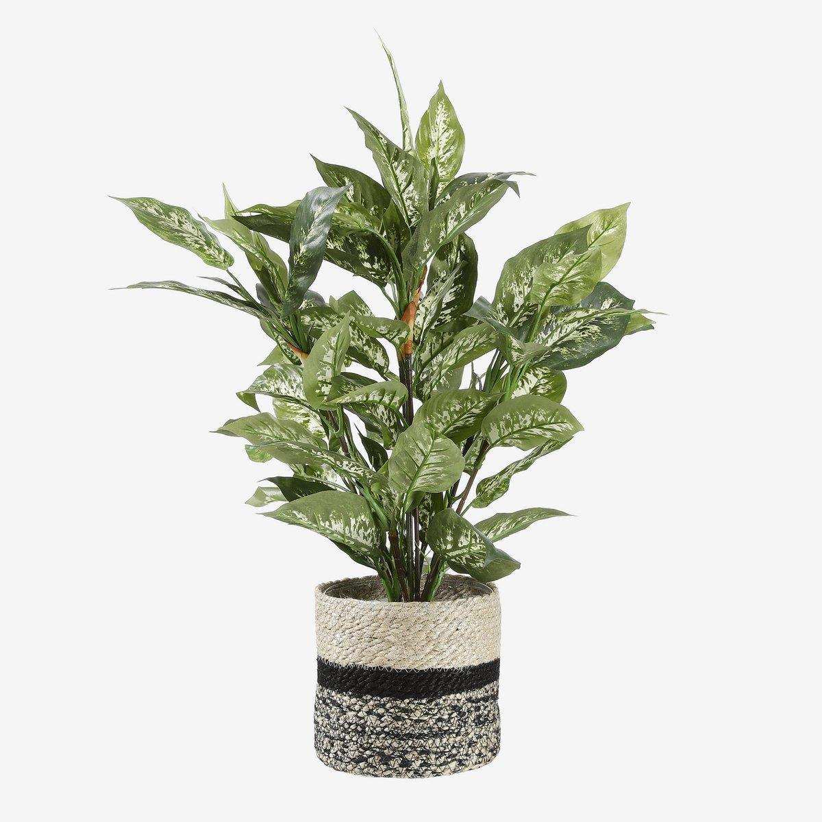 Dieffenbachia Künstliche Pflanze im Blumentopf Stan – H70 x Ø55 cm – Grün - HomeDesign Knaus