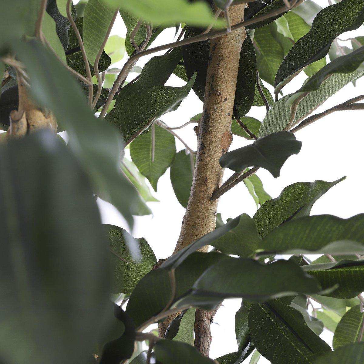 Ficus Kunstpflanze - H180 x Ø100 cm - grün - HomeDesign Knaus