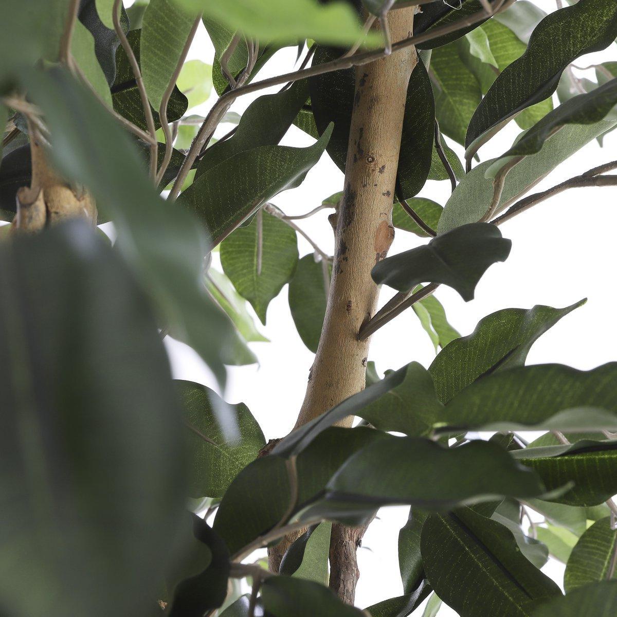 Ficus Kunstpflanze - H210 x Ø100 cm - grün - HomeDesign Knaus