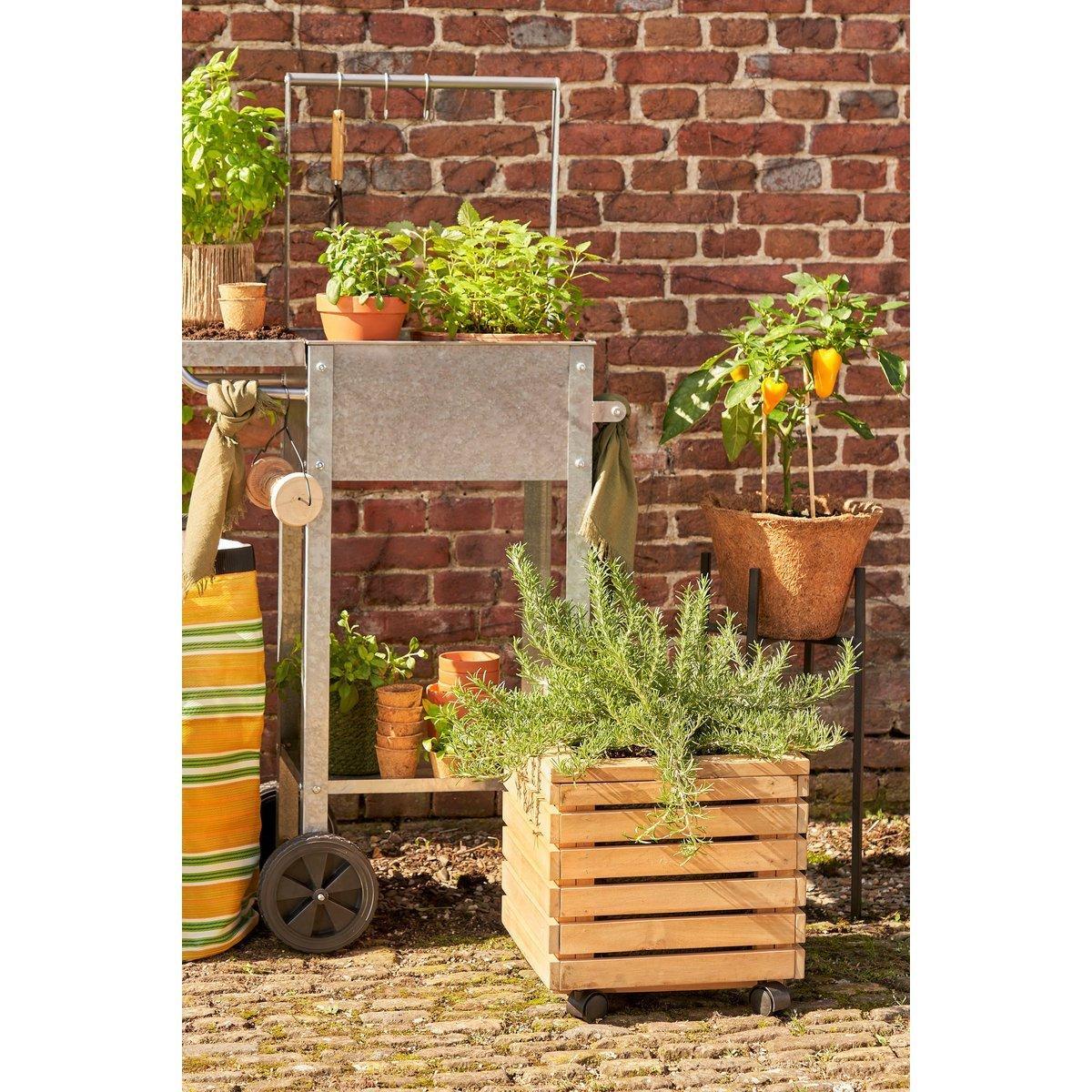 Glenwood Pflanzgefäß quadratisch auf Rädern für den Außenbereich – L35 x B35 x H35 cm – Akazienholz – Braun - HomeDesign Knaus