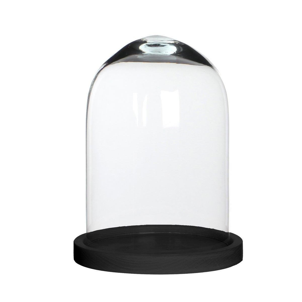 Hella Glasglocke – H23 x Ø17 cm – Transparent, Schwarz - HomeDesign Knaus