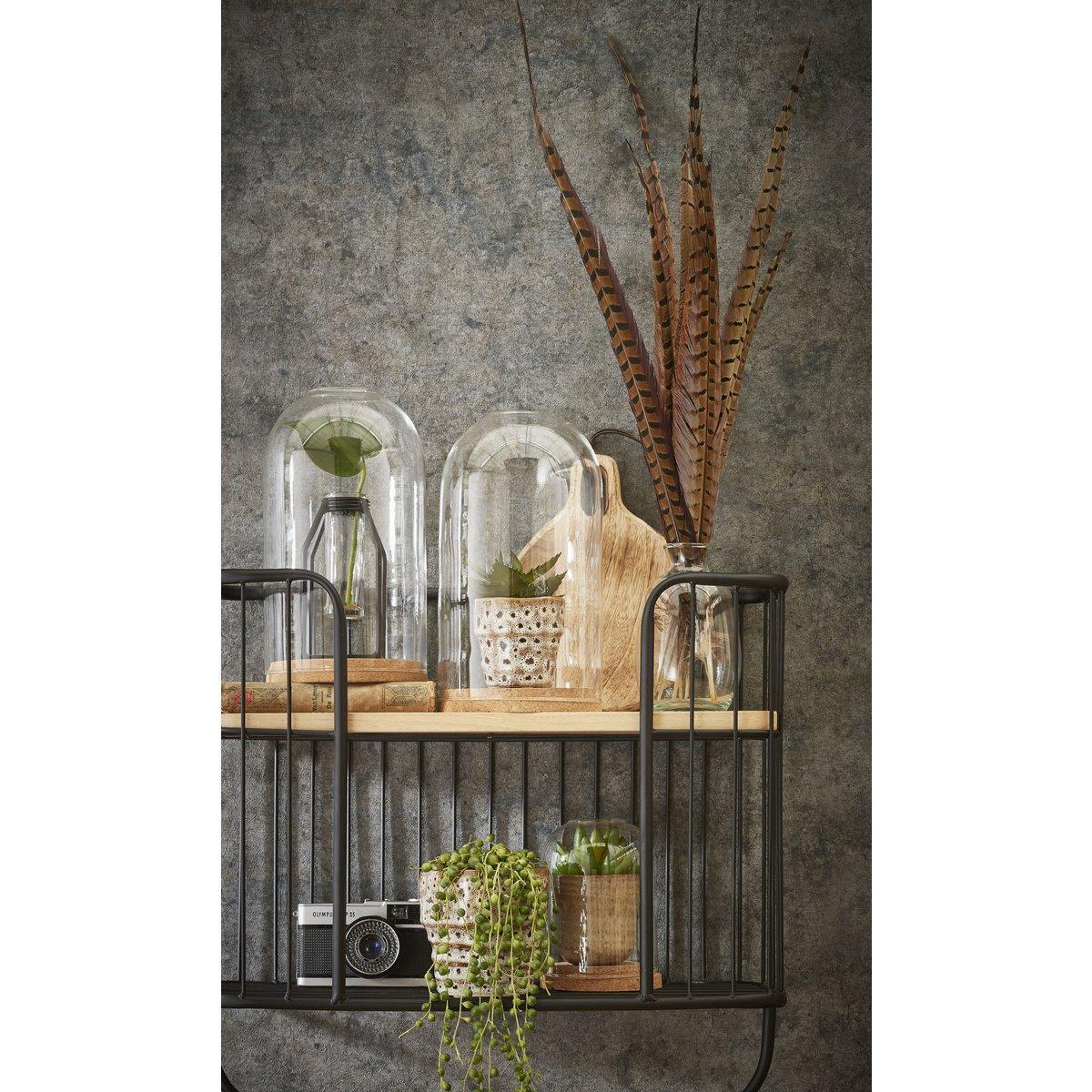 Hella Glasglocke – H38 x Ø23 cm – Transparent, Hellbraun - HomeDesign Knaus