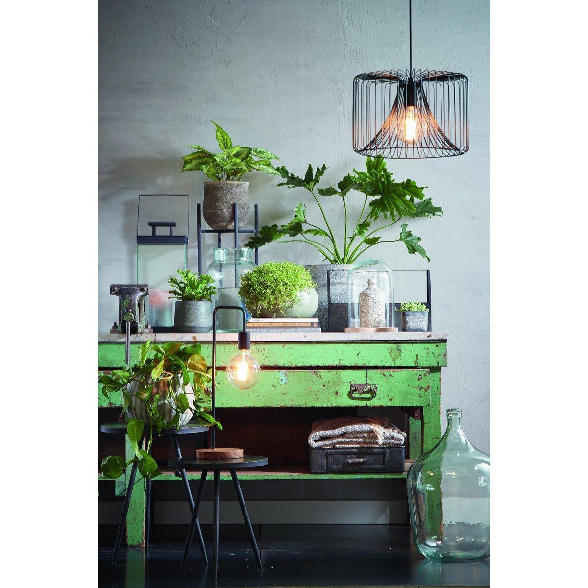 Hella Glasglocke – H38 x Ø23 cm – Transparent, Hellbraun - HomeDesign Knaus