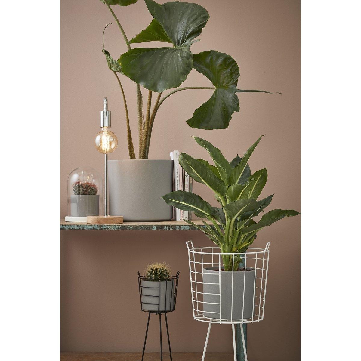 Hella Glasglocke – H38 x Ø23 cm – Transparent, Weiß - HomeDesign Knaus