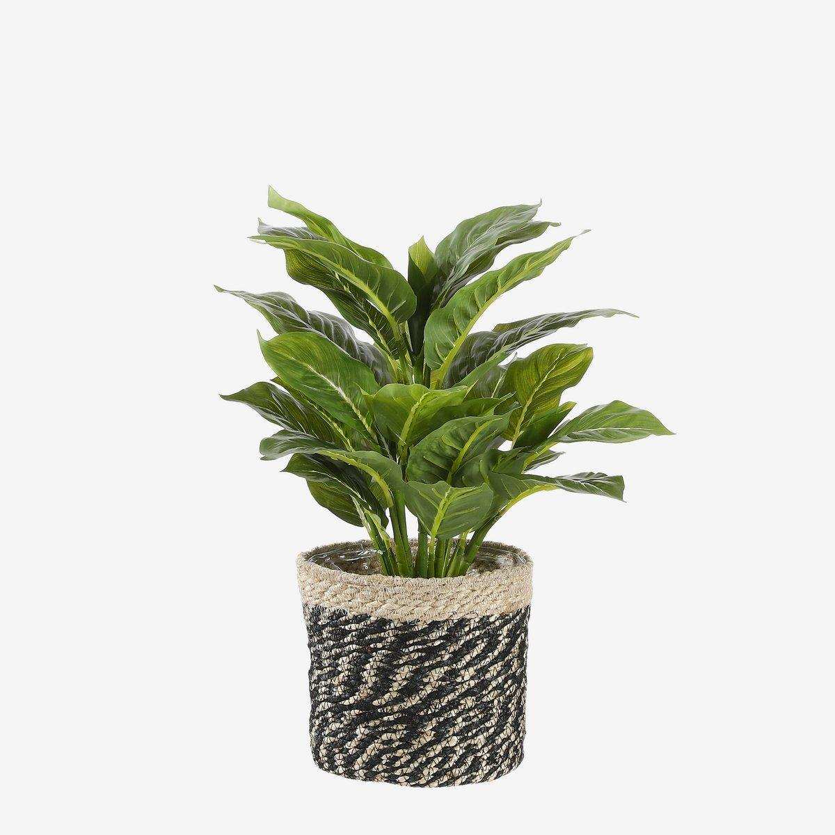 Immergrüne Kunstpflanze im Blumentopf Stan – H49 x Ø40 cm – Grün - HomeDesign Knaus
