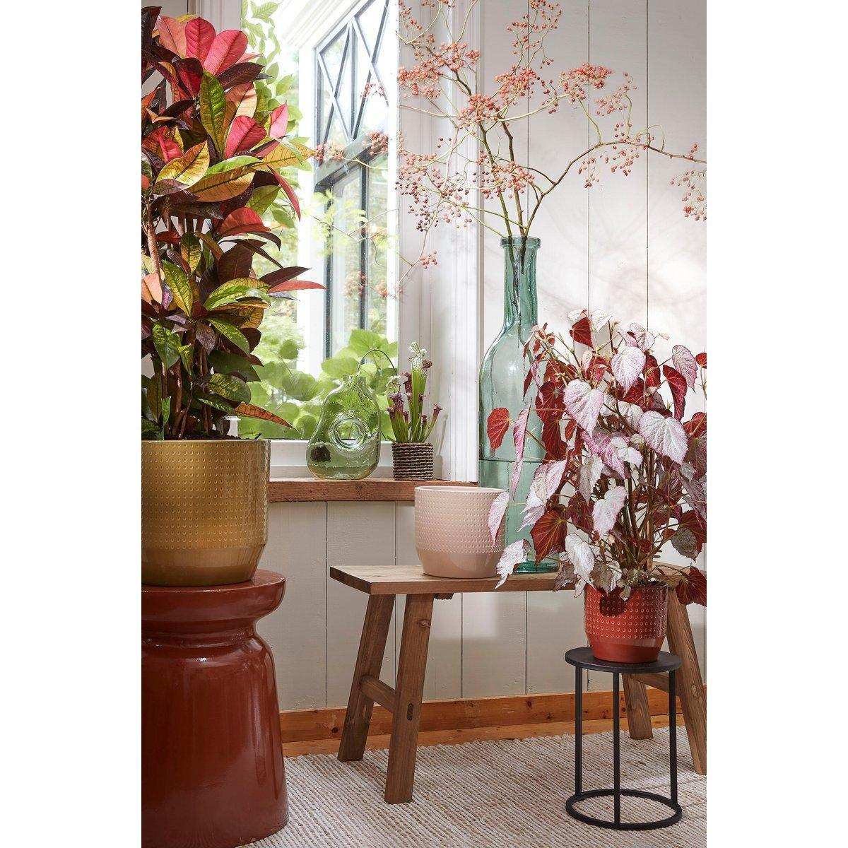 Jay Vase – L18,5 x B10,5 x H25 cm – Glas – Hellgrün - HomeDesign Knaus