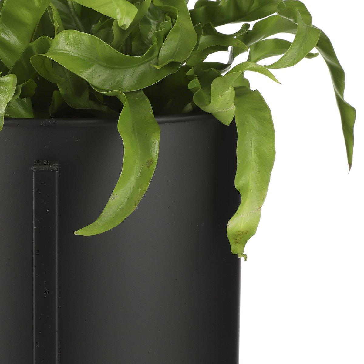 Jessy Blumentopf auf Ständer – 2er-Set – H79 x Ø28 cm – Metall – Schwarz - HomeDesign Knaus