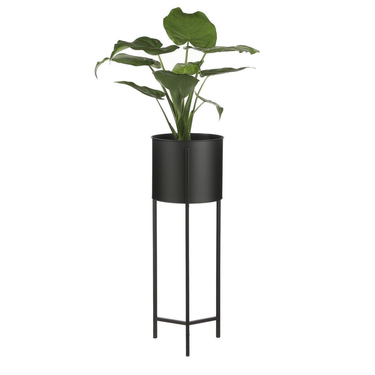 Jessy Blumentopf auf Ständer – 2er-Set – H79 x Ø28 cm – Metall – Schwarz - HomeDesign Knaus